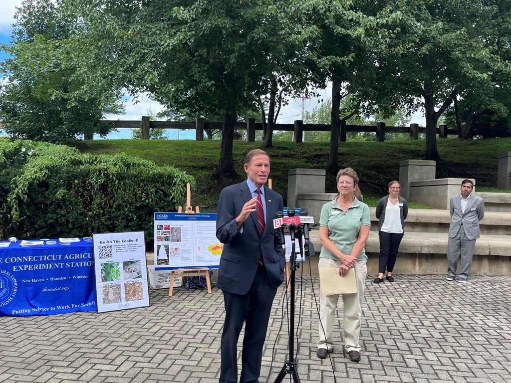 Blumenthal called on Congress to pass the Spotted Lanternfly Research and Development Act, new legislation to stop the spread of the Spotted Lanternfly, an invasive species that poses a significant threat to the environment and our state’s agricultural economy.